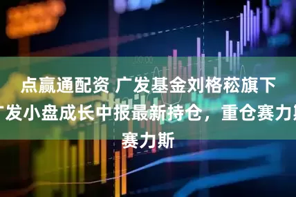 点赢通配资 广发基金刘格菘旗下广发小盘成长中报最新持仓，重仓赛力斯